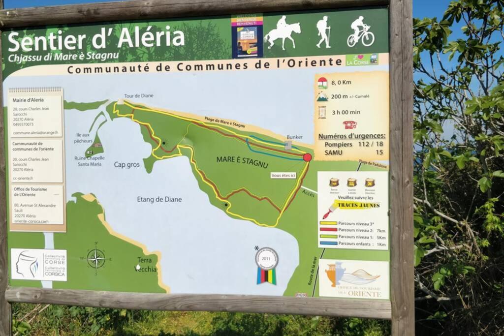 Marine De Bravone T2 Terrasse Front De Mer - Plage Pieds Dans L'Eau - Clim - Piscine - Wifi Linguizzetta المظهر الخارجي الصورة