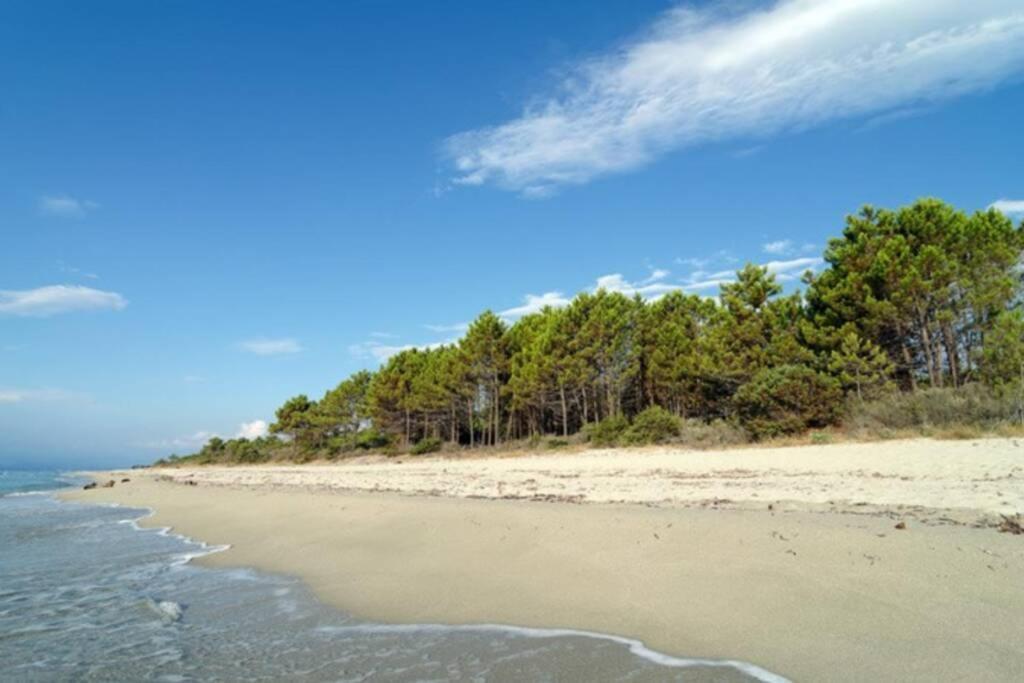Marine De Bravone T2 Terrasse Front De Mer - Plage Pieds Dans L'Eau - Clim - Piscine - Wifi Linguizzetta المظهر الخارجي الصورة
