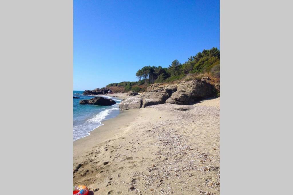 Marine De Bravone T2 Terrasse Front De Mer - Plage Pieds Dans L'Eau - Clim - Piscine - Wifi Linguizzetta المظهر الخارجي الصورة