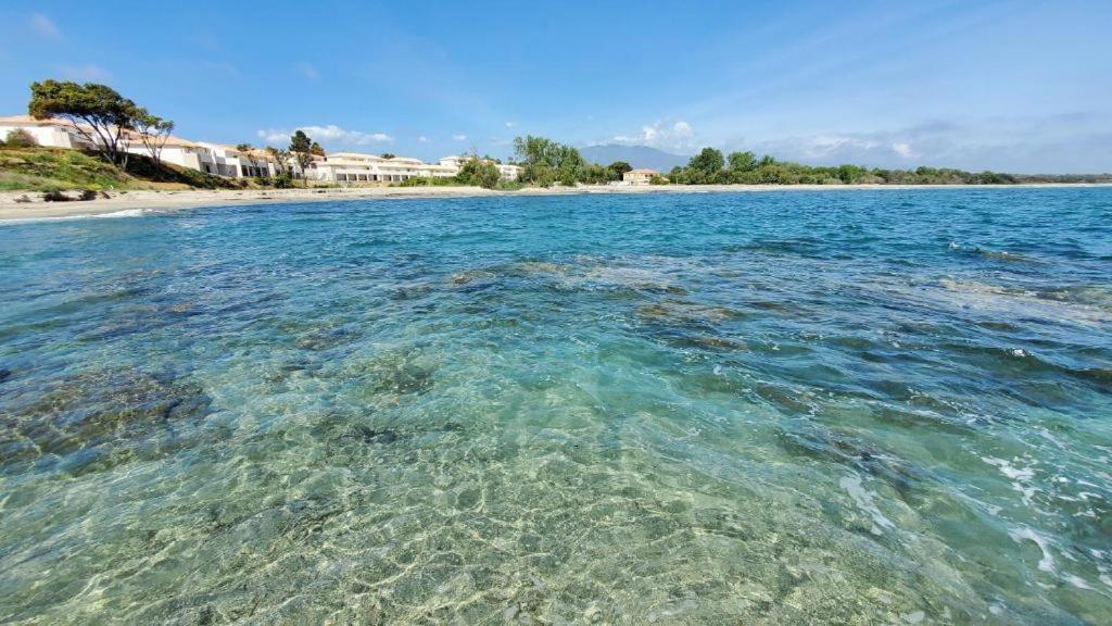 Marine De Bravone T2 Terrasse Front De Mer - Plage Pieds Dans L'Eau - Clim - Piscine - Wifi Linguizzetta المظهر الخارجي الصورة